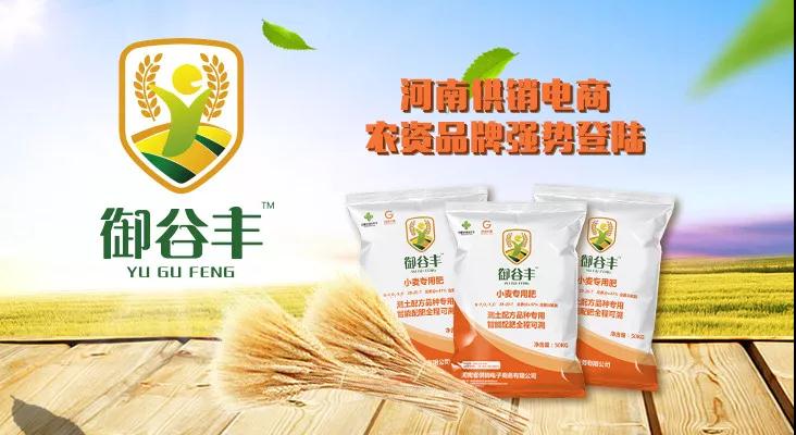 河南省供銷電子(zǐ)商務有限公司 河南省供銷電子(zǐ)商務有限公司